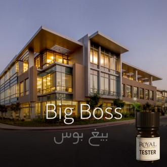 Big Boss | 5ml³ Diffuser Tester