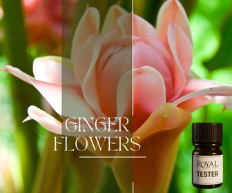 Ginger Flower | 5ml³ Diffuser Tester