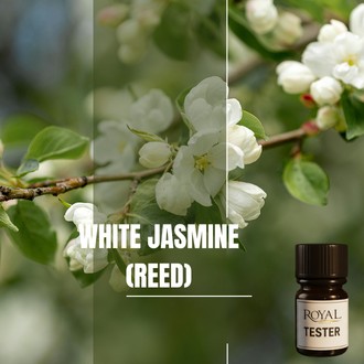 White Jasmine (Reed) | 5ml³ Diffuser Tester