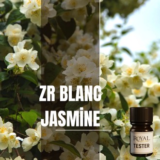  زر بلانك جاسمين | 5 مل³ تيستر معطرات الجو