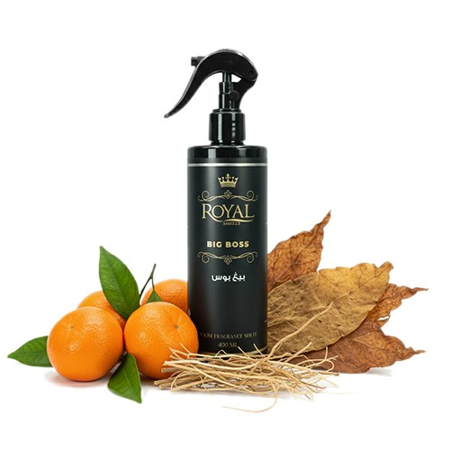 Big Boss - Room Refreshiner Spray 400ml³