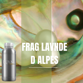 FRAG LAVNDE D.ALPES | 250 ML Diffuser Oil