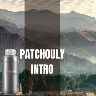 Patchouly Intro | 250 ML Diffuser Oil