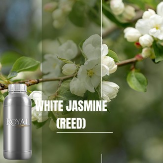 White Jasmine (Reed) | 250 ML Diffuser Oil