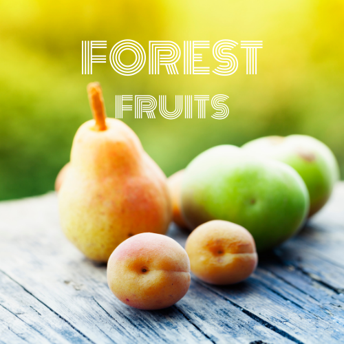 [RSLTR-4612081] FOREST FRUITS