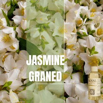[RS125ML-4467431] Jasmine Garden | 125ml³ Diffuser Oil