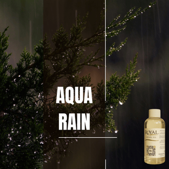 [RS125ML-4612083] ﻿Aqua Rain | 125ml³ Diffuser Oil