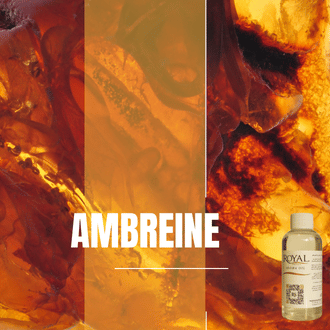 [RS125ML-4612088] ﻿Ambreine | 125ml³ Diffuser Oil