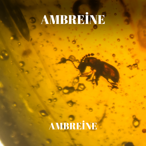 [RS125ML-4612088] Ambreine | Aroma Oil refill Cartridge 125ml³