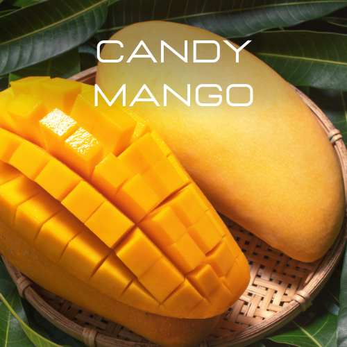 [RS125ML-4612095] Candy Mango| Aroma Oil Refill Cartridge 125ml³