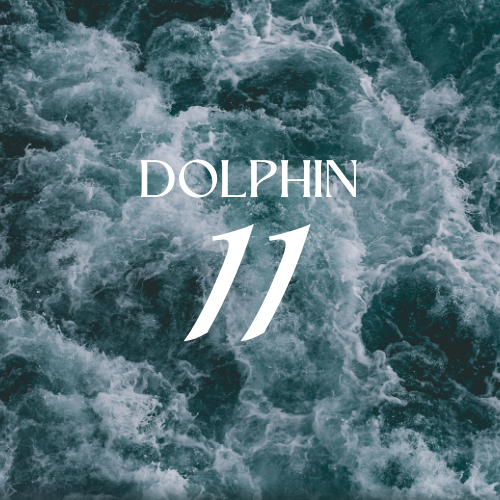 [RS125ML-4614305] DOLPHIN 11  | Aroma Yağı Yeniden Dolum Kartuşu 125ml³