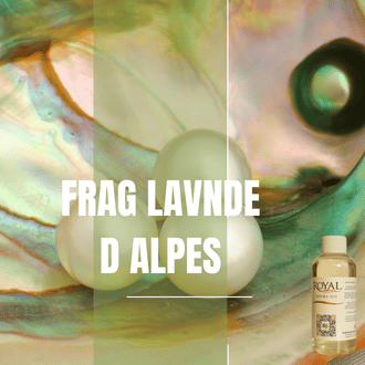 [RS125ML-4614625] FRAG LAVNDE D.ALPES | Aroma Yağı Yeniden Dolum Kartuşu 125ml³