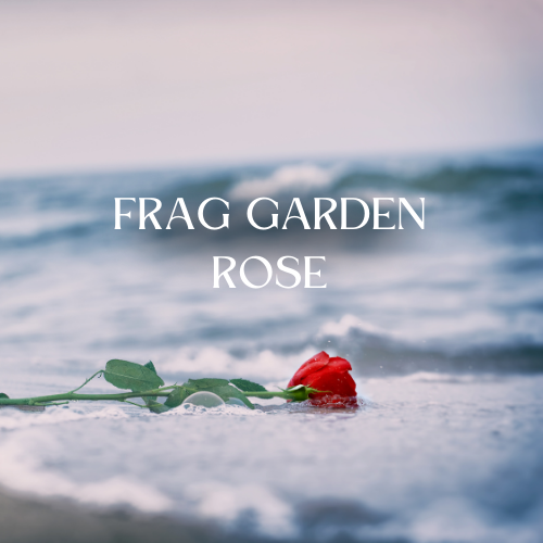 [RS125ML-4614135] Frag Garden Rose | Aroma Yağı Yeniden Dolum Kartuşu 125ml³
