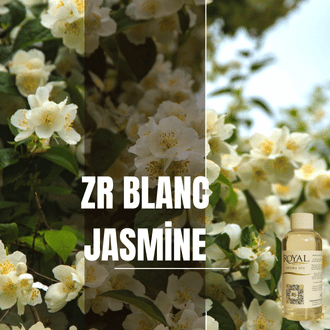 [RS125ML-4632056] ZR Blanc Jasmine | Aroma Yağı Yeniden Dolum Kartuşu 125ml³
