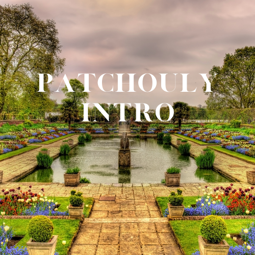 [RS125ML-4632077] Patchouly Intro | 125ml³ Diffuser Oil