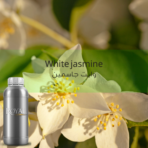 [RS1LTR-4610696] White Jasmin For Mac | Diffuser Oil Ltr