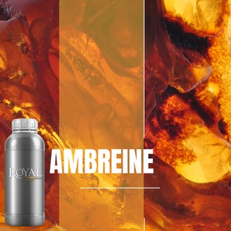 [RS1LTR-4612088] Ambreine | Ltr Diffuser Oil