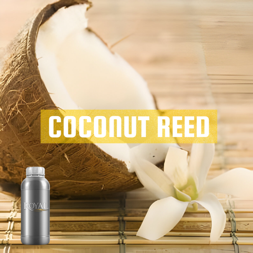 [RS1LTR-4650590] Coconut Reed | Diffuser Oil Ltr