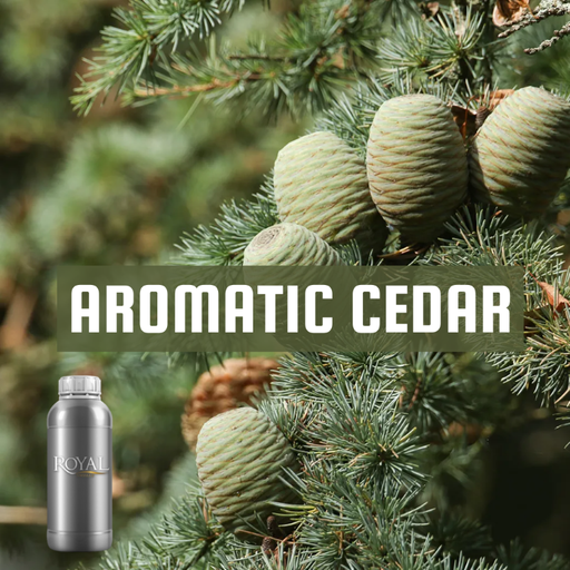 [RS1LTR-4651767] Aromatic Cedar | Diffuser Oil Ltr