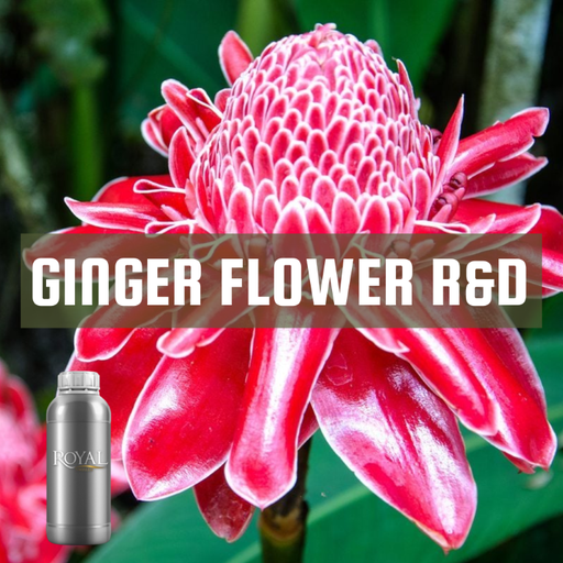[RS1LTR-4653946] Ginger Flower R&D | Diffuser Oil Ltr