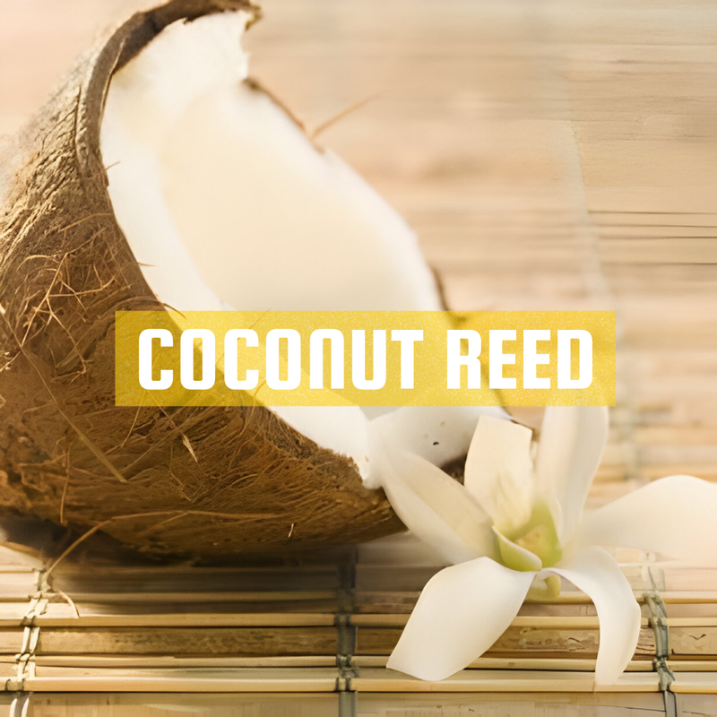 [RS125ML-4650590] Coconut Reed | 125ml³ Diffuser Oil