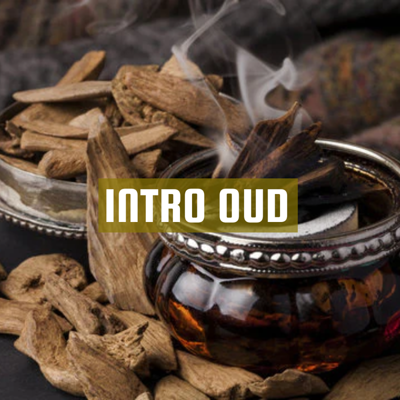 [RS125ML-4651765] Intro Oud | Aroma Yağı Yedek Kartuşu 125ml³