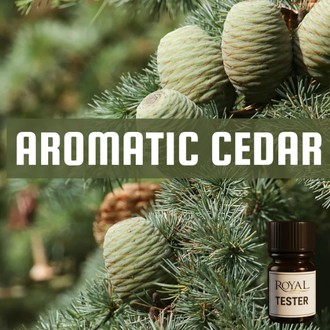 [RSDFPT5ML-4651767] Aromatic Cedar | 5ml³ Diffuser Tester