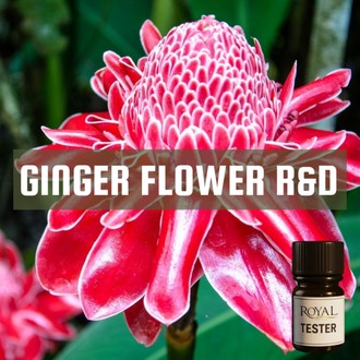 [RSDFPT5ML-4653946] Ginger Flower R&D | 5ml³ Diffuser Tester