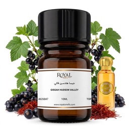 [RSPPT10ML-TOP-4626847] جيسا-هادسن فالي-توب | 10 مل